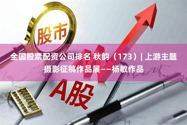 全国股票配资公司排名 秋韵（173）| 上游主题摄影征稿作品展——杨敏作品